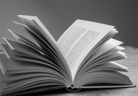 لويز جلوك: شاعرة الضوء الخارج من العتمة 16 من هي لويز جلوك؟
