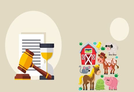 رواية مزرعة الحيوانات: كيف تتحول الثورة إلى طغيان؟ 14 رواية مزرعة الحيوانات
