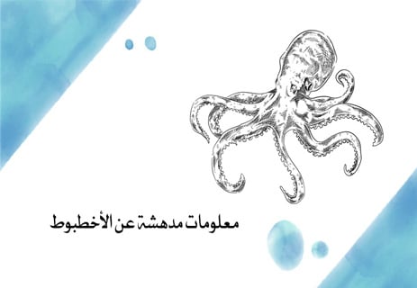 معلومات عن الأخطبوط: أذكى الكائنات في أعماق المحيط 19 معلومات عن الأخطبوط