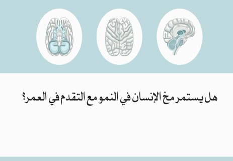 معلومات عن مخ الإنسان ستغير نظرتك إلى العقل البشري 13 معلومات عن دماغ الإنسان