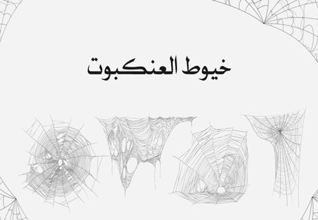 معلومات عن العنكبوت: فن البقاء في عالم من الخيوط والظلال 17 كيف تبني العنكبوت بيتها
