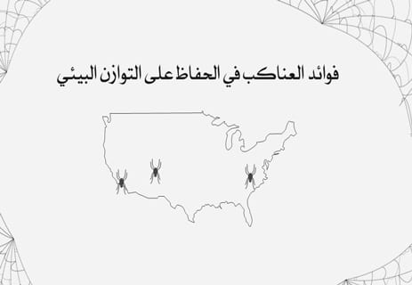 معلومات عن العنكبوت: فن البقاء في عالم من الخيوط والظلال 19 فوائد خيوط العنكبوت