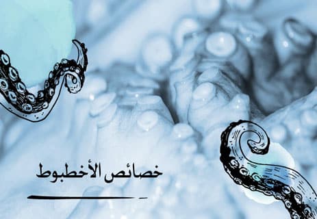 معلومات عن الأخطبوط: أذكى الكائنات في أعماق المحيط 15 أبرز خصائص الأخطبوط التي تميزه عن غيره