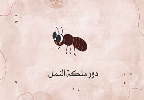 عالم النمل: أسرار المستعمرات والحياة الخفية تحت الأرض 12 حقائق غريبة عن النمل