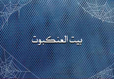 معلومات عن العنكبوت: فن البقاء في عالم من الخيوط والظلال 18 لماذا وصف بيت العنكبوت بأوهن البيوت