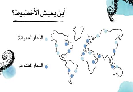 معلومات عن الأخطبوط: أذكى الكائنات في أعماق المحيط 14 كيف يعيش الأخطبوط
