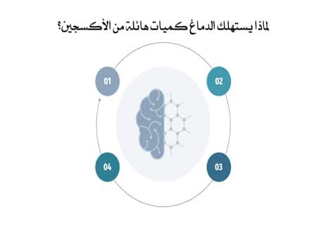 معلومات عن مخ الإنسان ستغير نظرتك إلى العقل البشري 12 أسرار الدماغ البشري