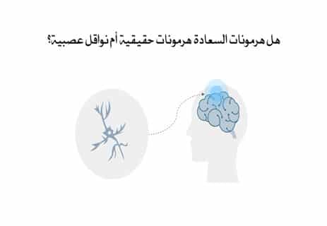 ما هي هرمونات السعادة