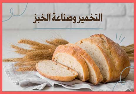أهمية التخمير في صناعة الخبز