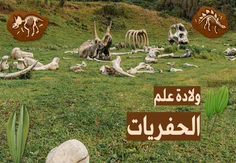الإحاثة