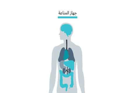 الإنفلونزا والزكام: معركة الشتاء بين الفيروسات والمناعة 10 الجهاز المناعي