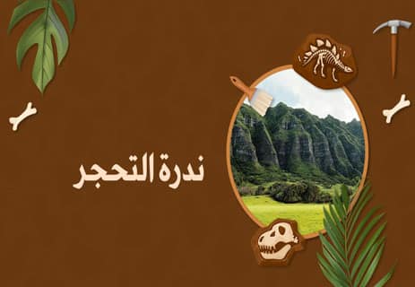 ماذا يعني التحجر؟