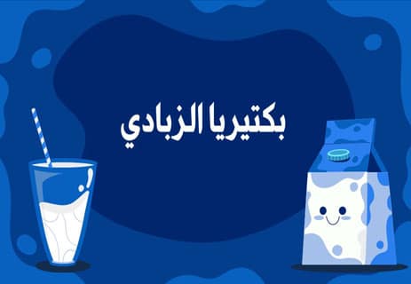 بكتيريا الزبادي