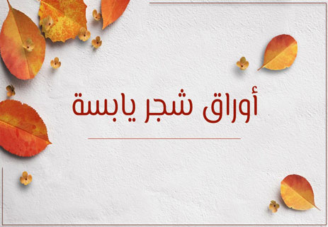 خواطر ليلية: همسات بعد منتصف الليل 14 خواطر مسائية راقية