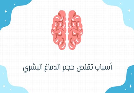 تقلص حجم الدماغ البشري