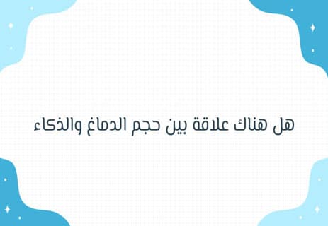 هل حجم الدماغ يدل على الذكاء