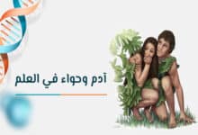 آدم وحواء في العلم: ماذا اكتشف العلماء عن أصل البشر؟ 28 آدم كروموسوم Y وحواء الميتوكوندرية