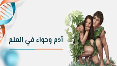 آدم كروموسوم Y وحواء الميتوكوندرية