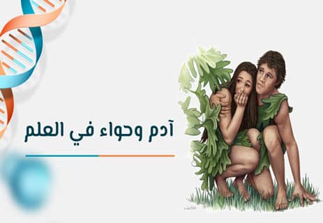 آدم كروموسوم Y وحواء الميتوكوندرية