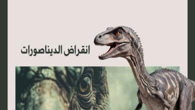 انقراض الديناصورات