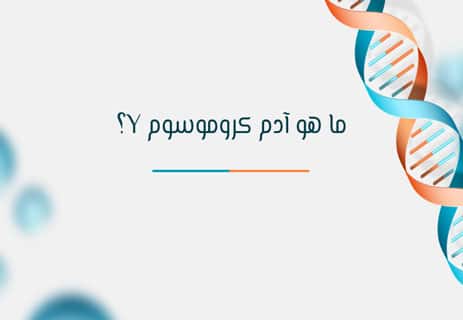 آدم وحواء في العلم: ماذا اكتشف العلماء عن أصل البشر؟ 12 هل آدم كروموسوم Y هو أول إنسان