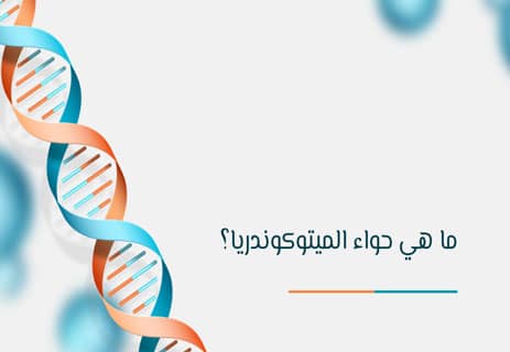 آدم وحواء في العلم: ماذا اكتشف العلماء عن أصل البشر؟ 11 من هي حواء الميتوكوندرية في العلم