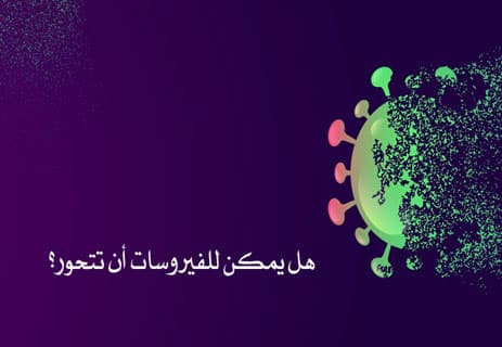 ما هي الفيروسات؟ وكيف تنتقل العدوى الفيروسية بين البشر؟ 12 تركيب الفيروس