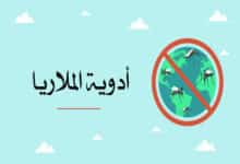 أدوية الملاريا: العلاج والوقاية وأشهر الأدوية المضادة للطفيليات 28 أدوية الملاريا