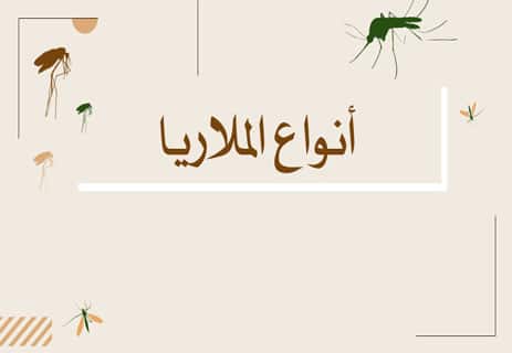 بعوضة الملاريا