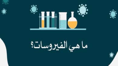 ما هي الفيروسات؟