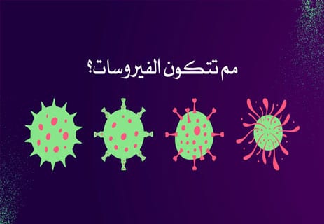 ما هي الفيروسات؟ وكيف تنتقل العدوى الفيروسية بين البشر؟ 10 تركيب الفيروس
