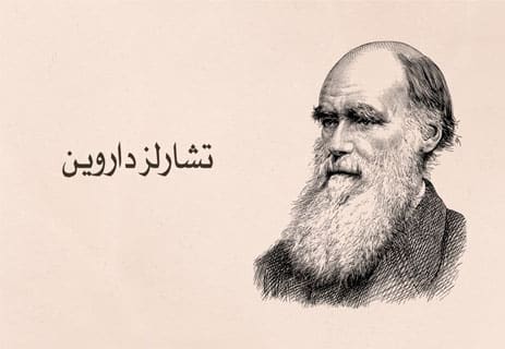 تاريخ نظرية التطور: كيف تطورت فكرة النشوء والارتقاء عبر العصور؟ 12 نظرية التطور عند داروين