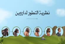 نظرية التطور لداروين