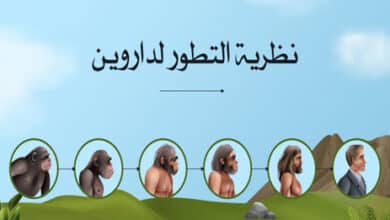 نظرية التطور لداروين
