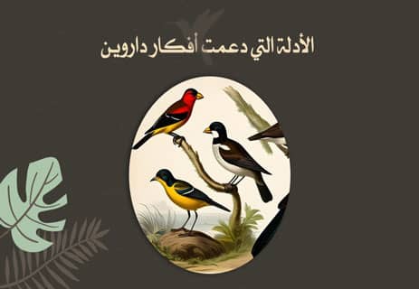 تشارلز داروين: العالم الذي كشف سر تطور الكائنات الحية 12 نظرية داروين في التطور