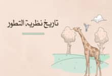 تاريخ نظرية التطور