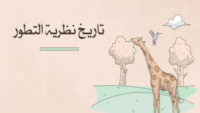 تاريخ نظرية التطور