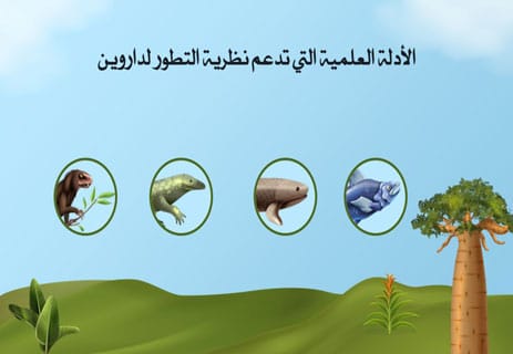 نظرية التطور لداروين