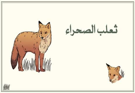 الانتخاب الطبيعي: كيف يحدث التطور وأسرار تكيف الكائنات الحية 11 التكيف عند الكائنات الحية