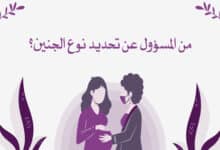 من المسؤول عن تحديد نوع الجنين