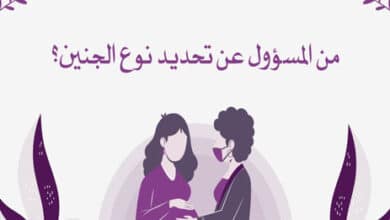 من المسؤول عن تحديد نوع الجنين
