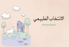 الانتخاب الطبيعي: كيف يحدث التطور وأسرار تكيف الكائنات الحية 28 الانتخاب الطبيعي وأساليب البقاء