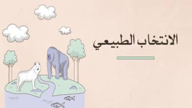 الانتخاب الطبيعي وأساليب البقاء