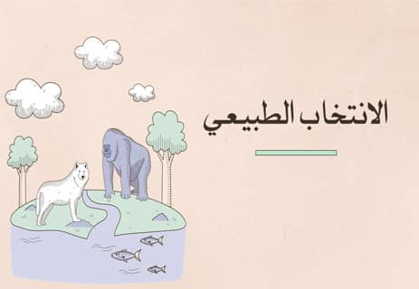 الانتخاب الطبيعي وأساليب البقاء