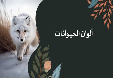 أسباب اختلاف الألوان في الطبيعة