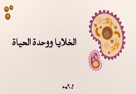 أسرار الكون: لماذا يتحرك كل شيء وفق نظام دقيق؟ 13 النظام الكوني