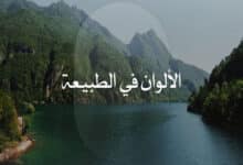 الألوان في الطبيعة