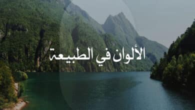 الألوان في الطبيعة