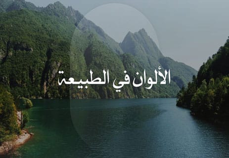 الألوان في الطبيعة: كيف يصنع الكون هذا الجمال المدهش؟ 16 الألوان في الطبيعة