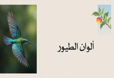 أسباب اختلاف الألوان في الطبيعة